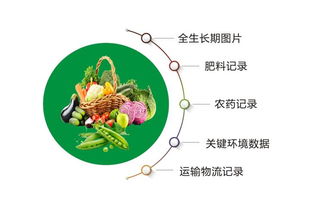 蔬菜种植流通追溯系统方案应用